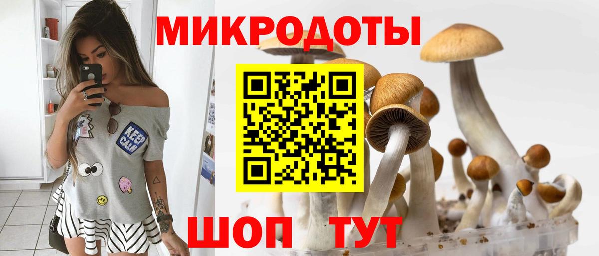 Псилоцибиновые грибы GOLDEN TEACHER Губкинский