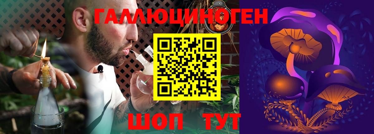 Губкинский  Псилоцибиновые грибы мухоморы  Вход с VPN 
